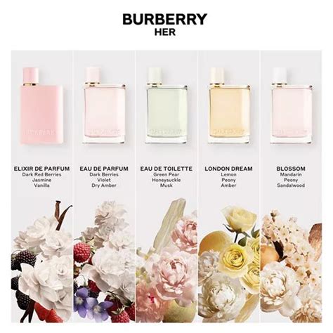 burberry jogginghose regenbogen|burberry her fragrance.